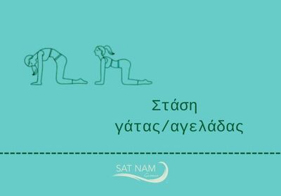 Στάση γάτας / αγελάδας