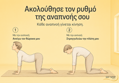 Στάση γάτας / αγελάδας