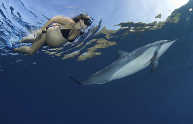pregnancy & dolphins