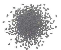 oregano seeds